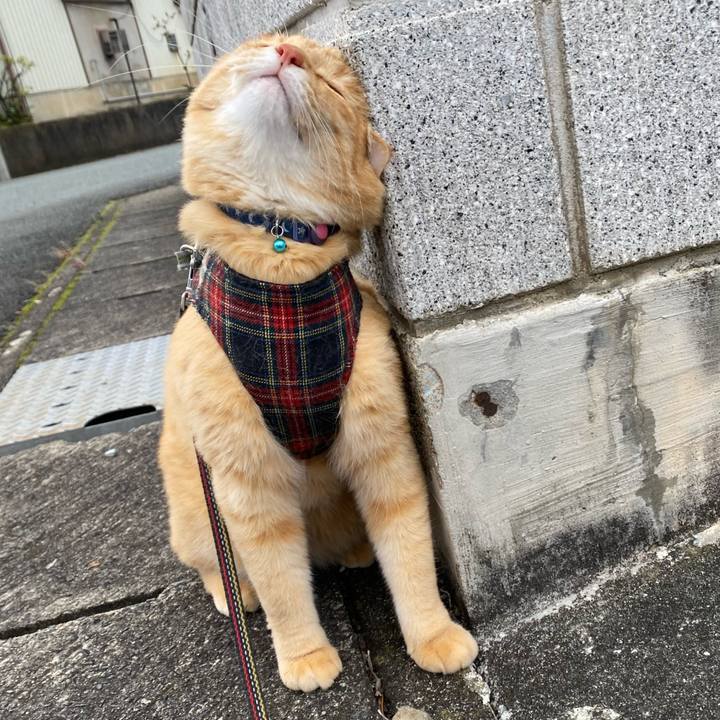 0eec08f0 a8ed 4fa5 8436 422ea30e4e5d 1607661612020