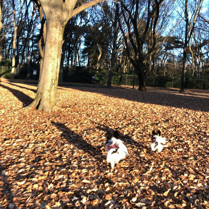 0eec2318 4f42 4bf0 ae23 f4b775587e82 1514690788682