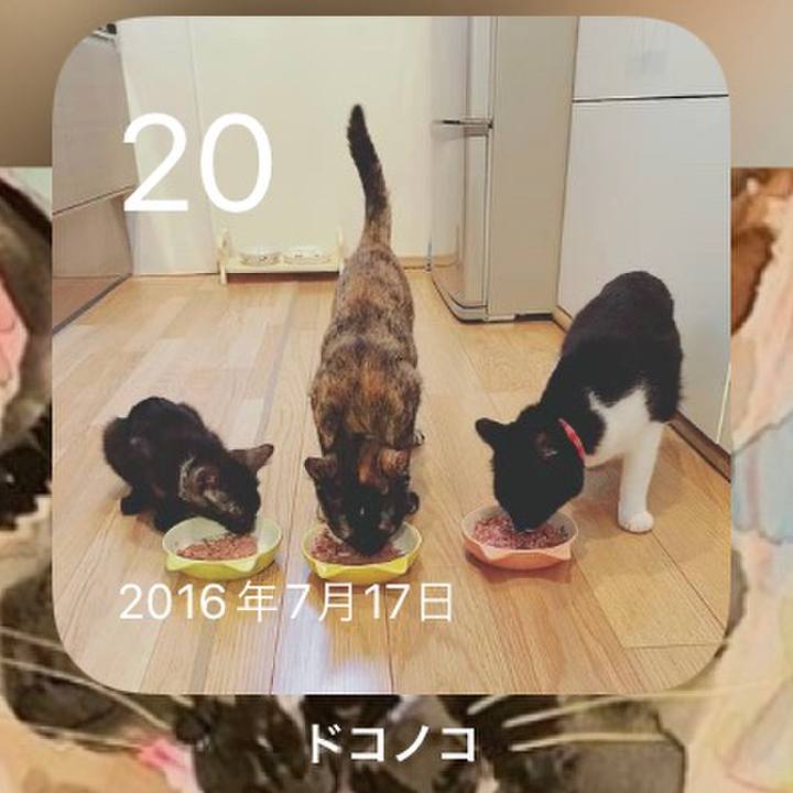 0eec4a1e e1de 413c 83e5 e5f9227a3e8f 1658243979237