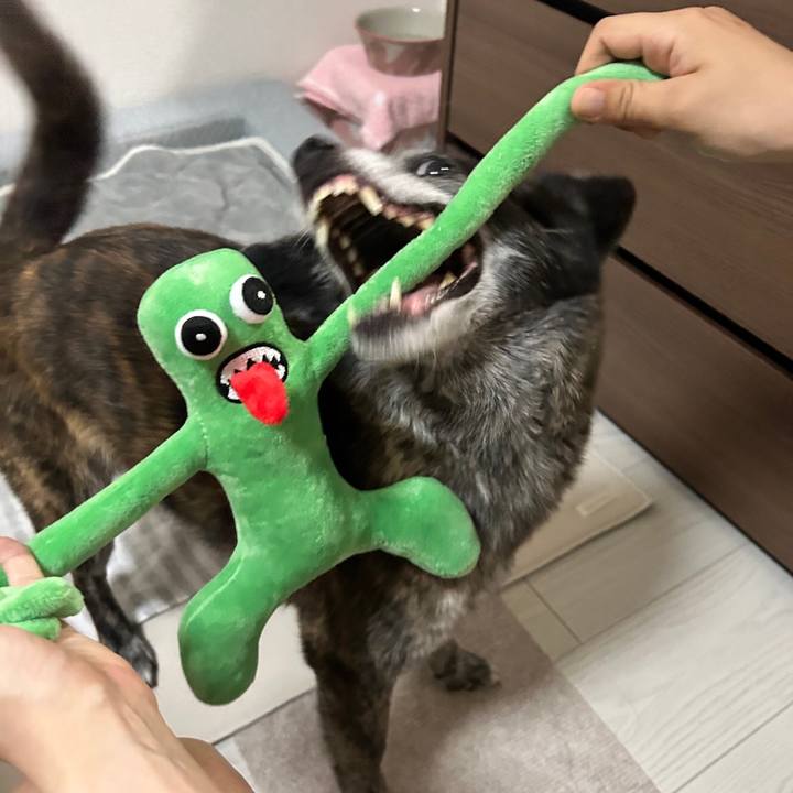 0eec4b56 2574 4018 8486 b121d4753c95 1684590096102