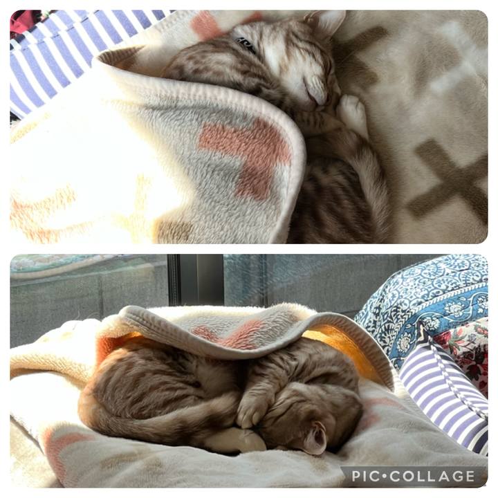 0eec6329 f906 454f 8b34 64bd394d45b4 1678591072702