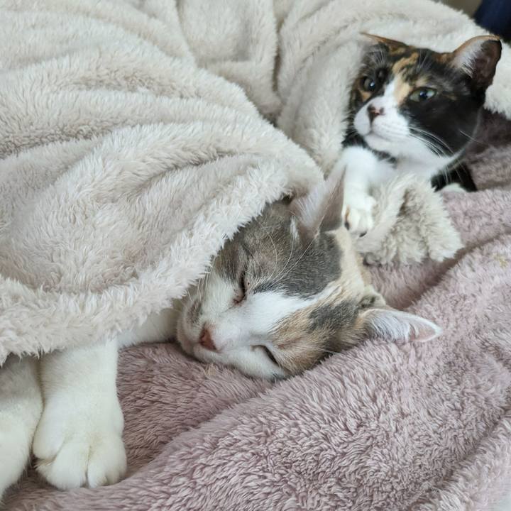 0eec6354 befd 48e7 8521 2082c0bbd2a3 1710736282218