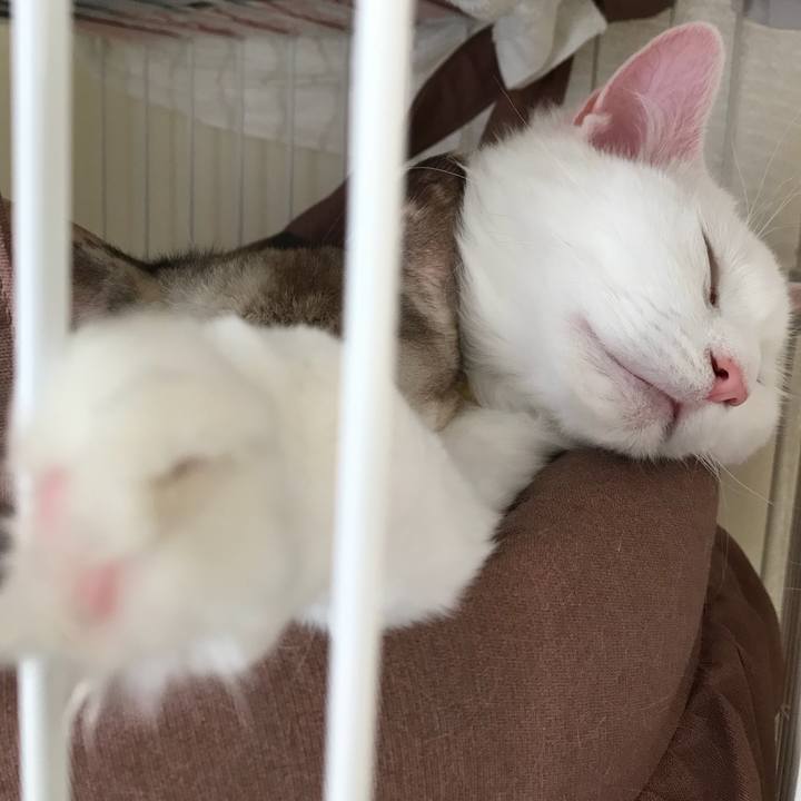 0eec664c 613c 4240 bc52 c12f0007da90 1517830977373