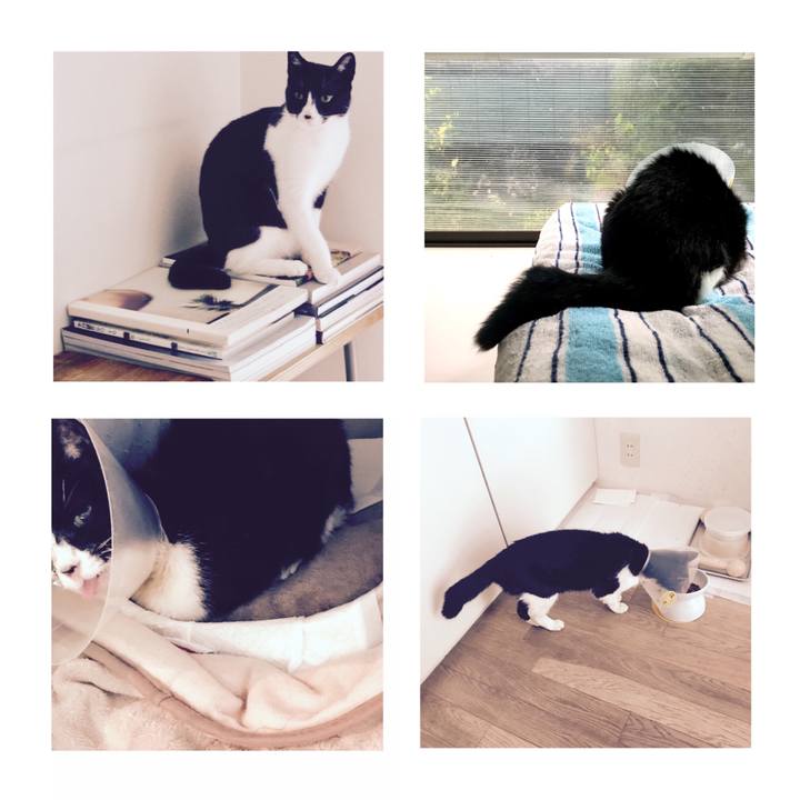 0eec7db7 a6e6 4e2a 965b a96494428d31 1590212591723