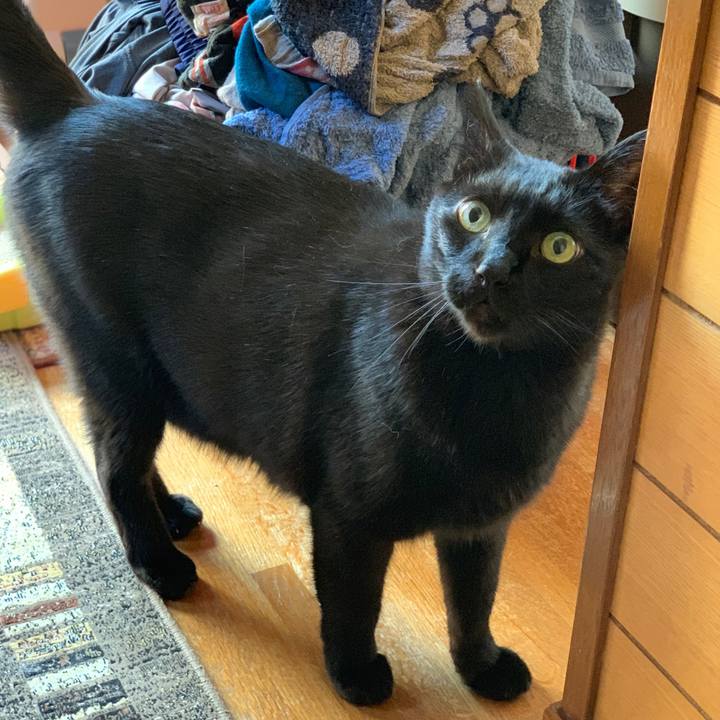 0eec80c8 5ee6 42c2 a57c 05c2a0d42f52 1557710560429