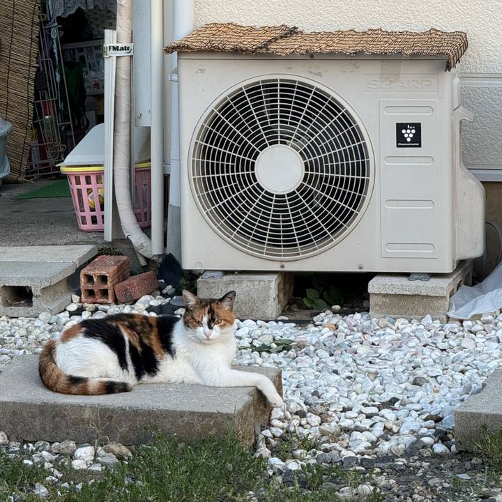 0eeca467 0c77 4a78 91ee b672825410fe 1755486857341