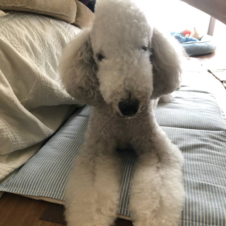 0eecd20b e871 4a77 8c1b a3e666ceab65 1662266796828