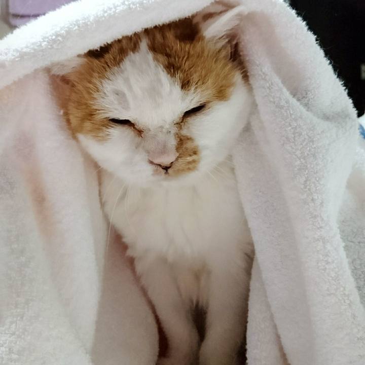 0eeceae9 4dd2 4e1f a664 69bb170920a2 1553341354799