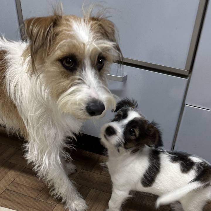 0eed13df 0f9f 41d5 9456 c6e4f81235eb 1769077525530