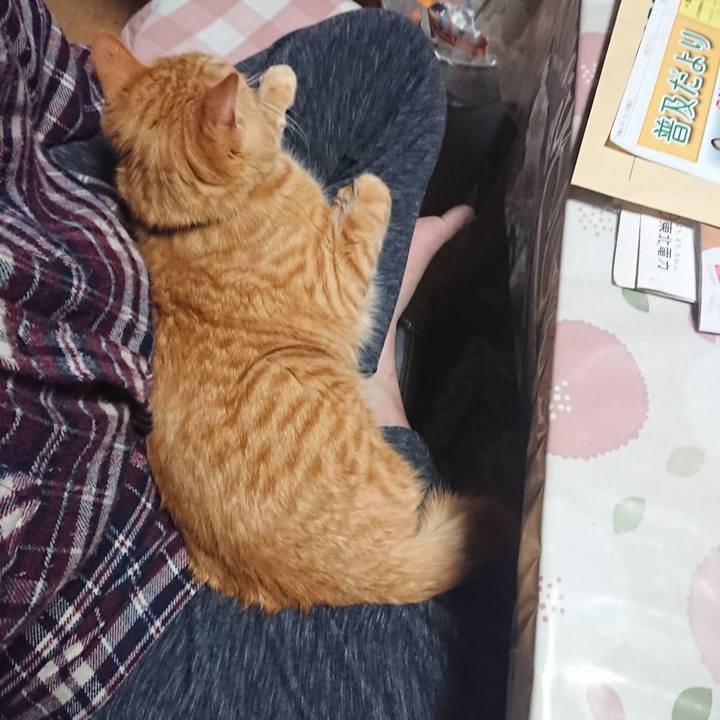 0eed20b0 89e4 4667 8570 91c80ad91368 1643456017843