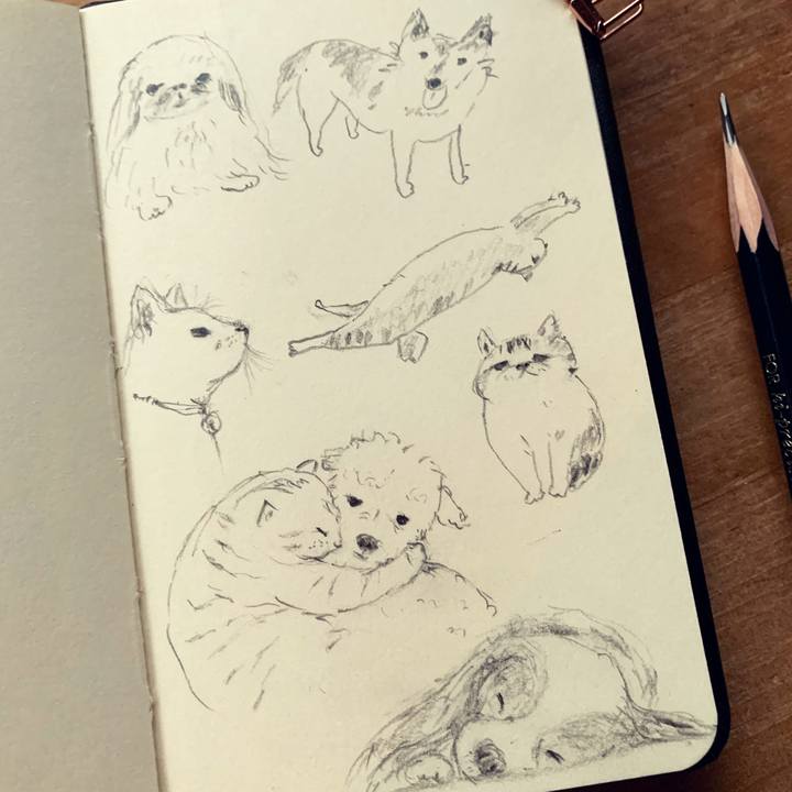 0eed2311 ab86 46cc 911f 0b57bffa52c9 1650532501329