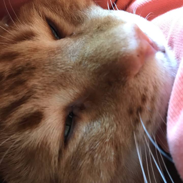 0eed272f 669f 470e b10e 6ea00f1491cb 1545621692427