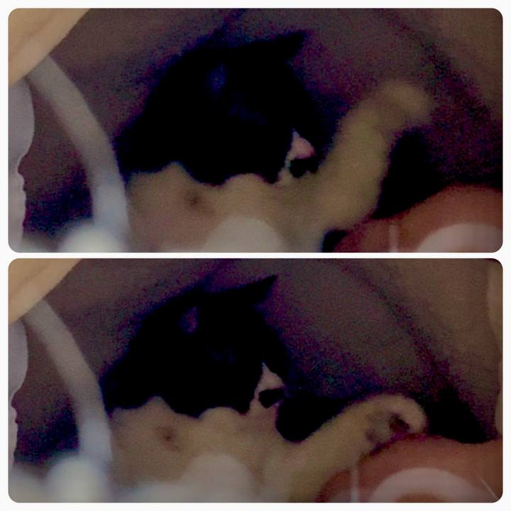 0eed4ff7 c2e5 42c3 92bf 01b2931378a7 1743550833435