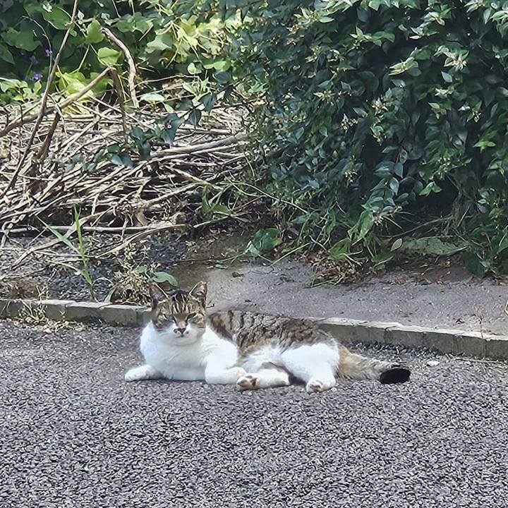 0eedd100 4830 4afb bf0a 6a7ca60e1f43 1717387351743