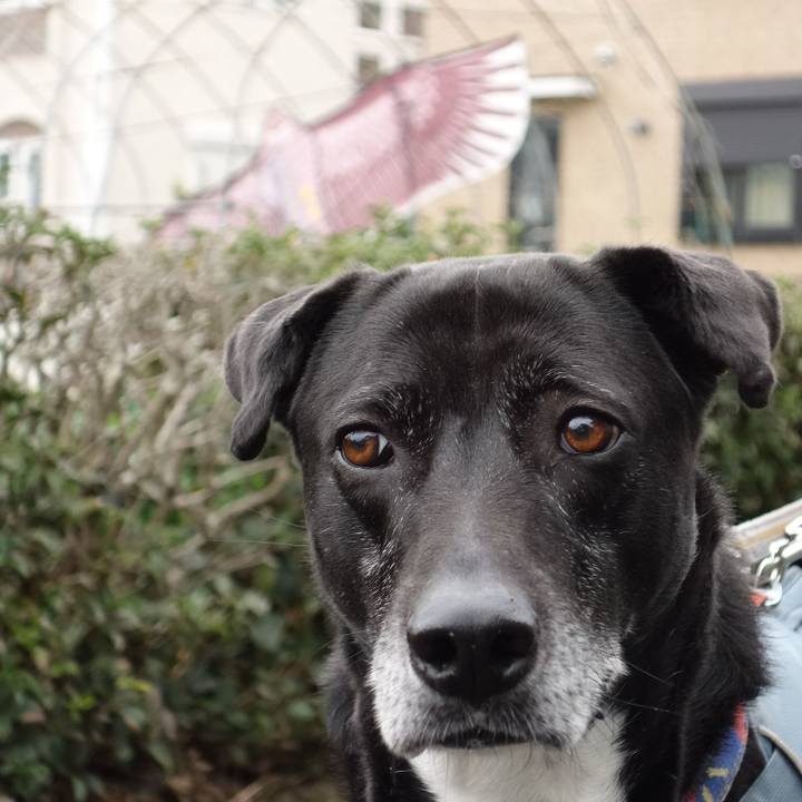 0eedea66 5937 46c8 8c32 ea60e64e998c 1711932426275