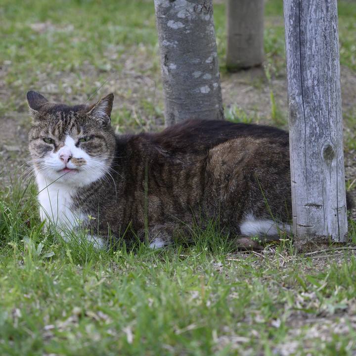 0eedf119 bb83 4c93 95a3 0331cef10fd8 1556284683918