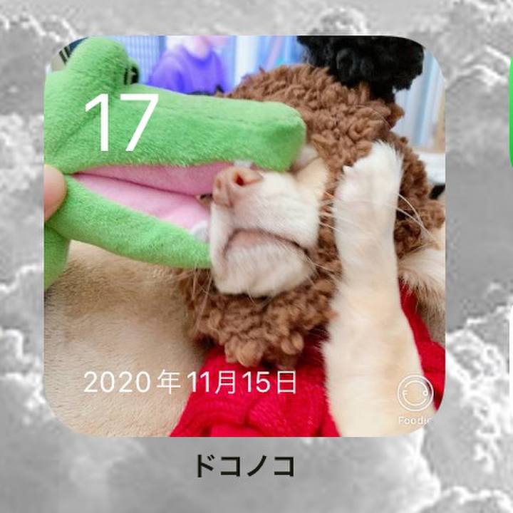 0eedfd30 3517 44e7 b015 b20dad2bb14e 1637151003069