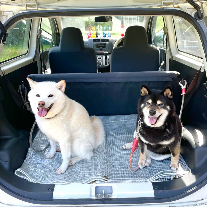 0eee2362 3b8c 470a b140 fa86972d0cd6 1623629164394