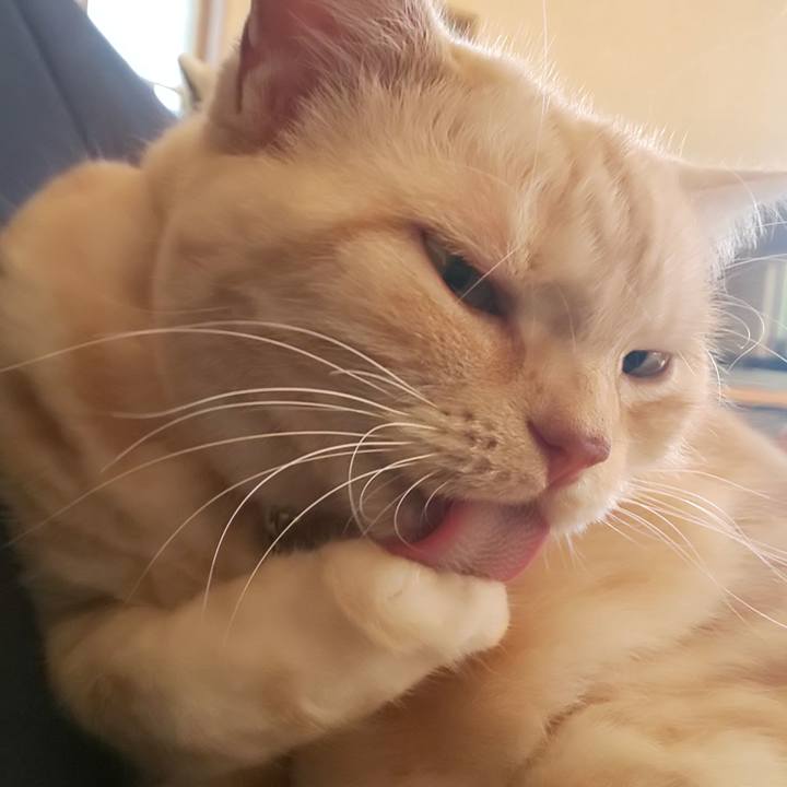 0eee3228 2912 4aef 9a62 2fa2d7d95ab4 1574651110300