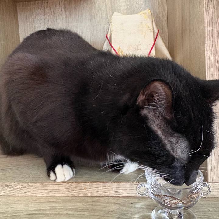 0eee3689 236f 45cb 86e7 3f6cc0cf994f 1775783030074