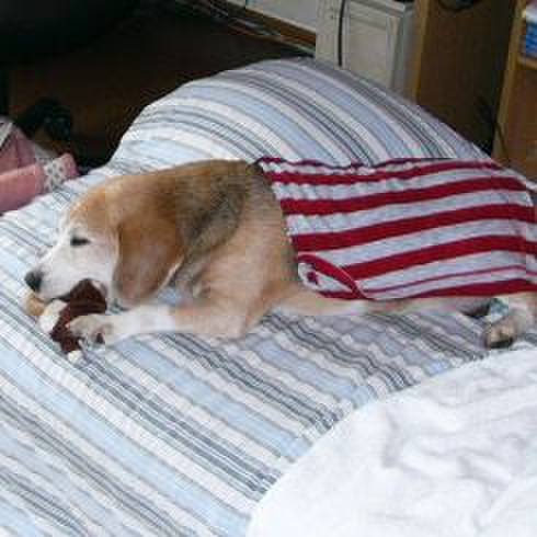 0eee42d8 3fa9 4107 af2c 0167ad05fe3e 1646268855752