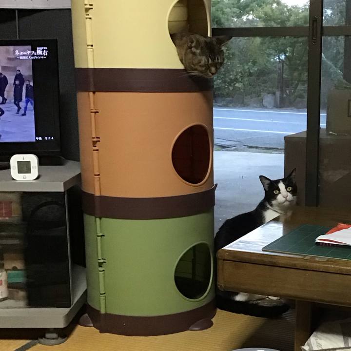 0eeeb4f9 3266 4f85 a478 ec8061847546 1728210197944