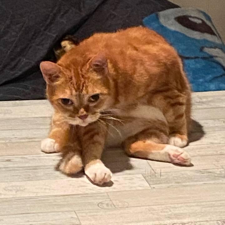 0eeee055 e57f 4890 a6dc 484636a87d1c 1593219137365