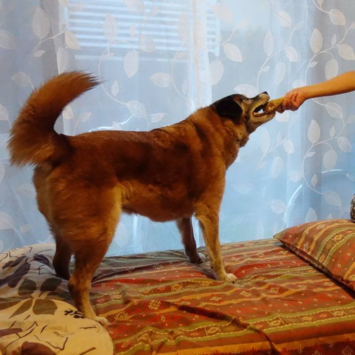 0eeef092 f4e0 4e62 8a8c d56ac9aa6035 1564828467837