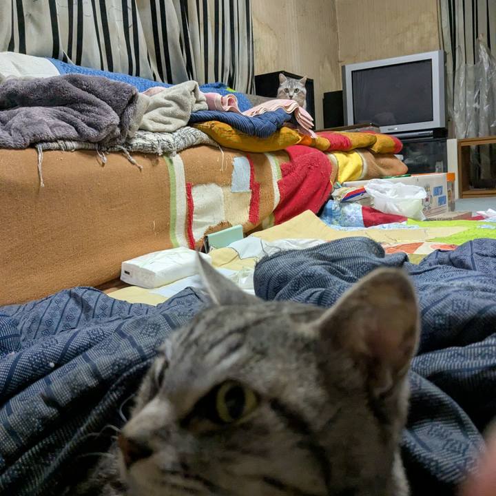 0eef4c45 e4b6 48e5 8c67 cf951d619e3f 1743079449400