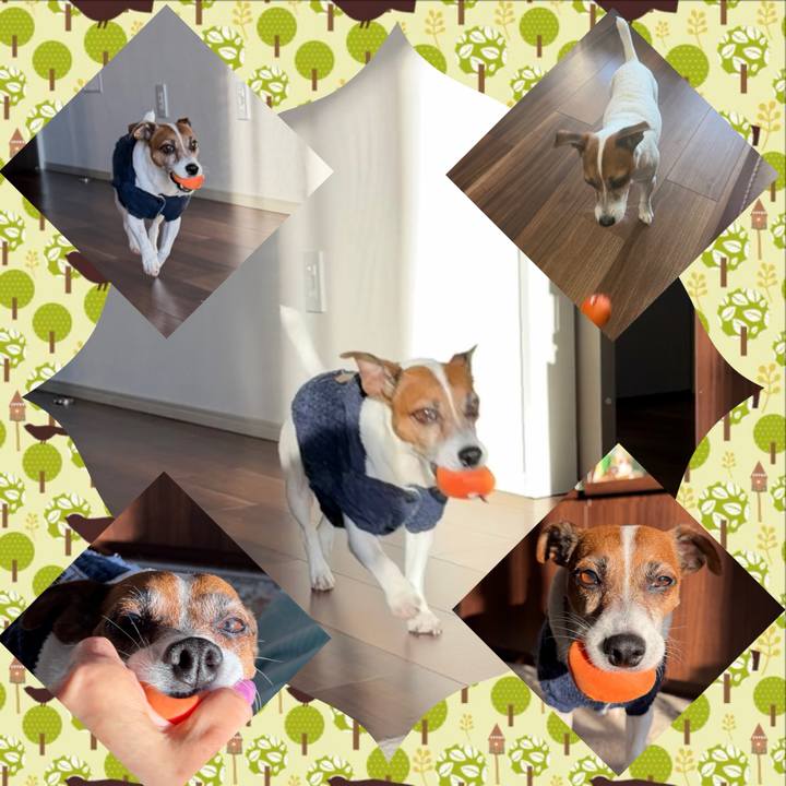 0eefcd78 0320 40e3 a827 2c81341a24a8 1768251385623