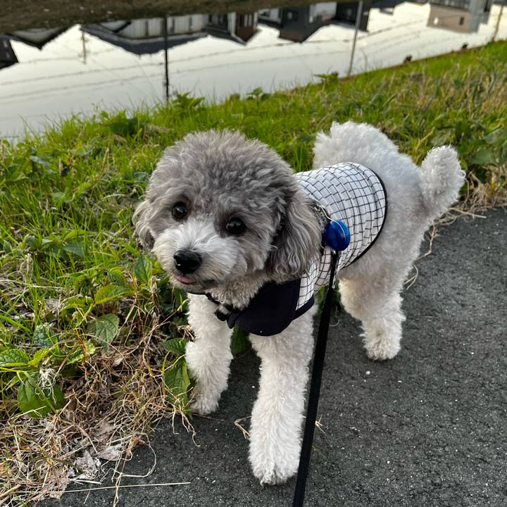 0eefce8f d594 44f6 badf fd8ee55b9524 1763940968547