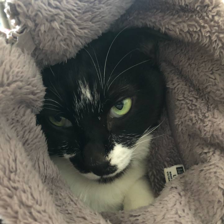 0eefd805 a063 41e1 9839 f217ad3deb4d 1648309639310