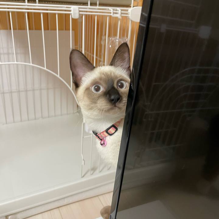 0eefe6b3 3618 4127 b94a ed36c39fddfc 1694461622664