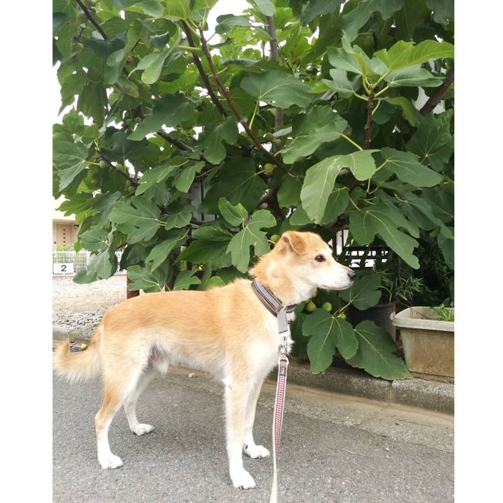 0eeffa86 66bf 4a01 be5b d2708df6f724 1537834440865