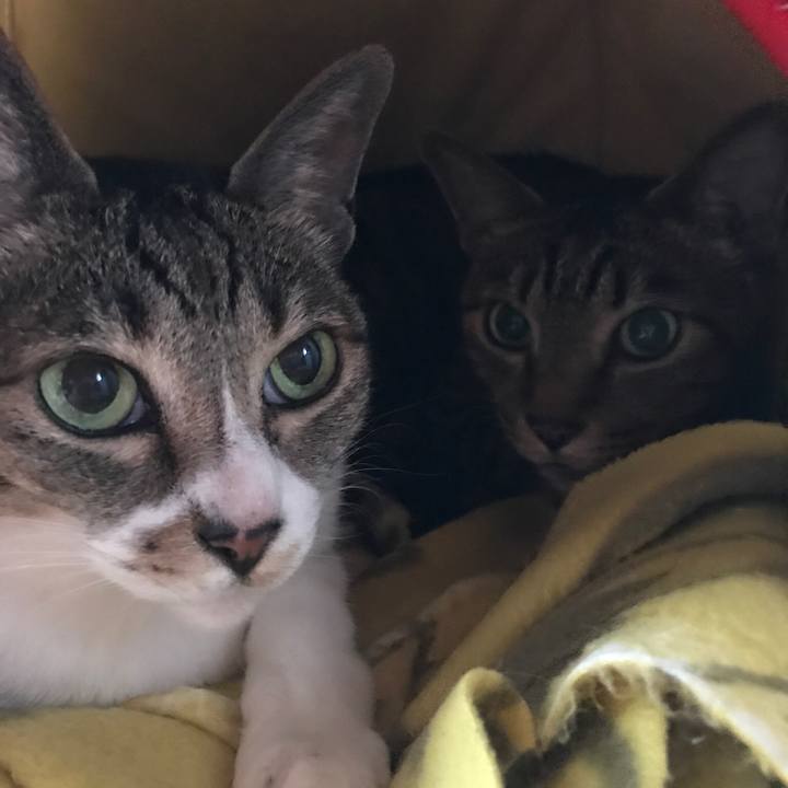 0ef00cce bb62 4391 ba3d b392acbeab9e 1507942534271