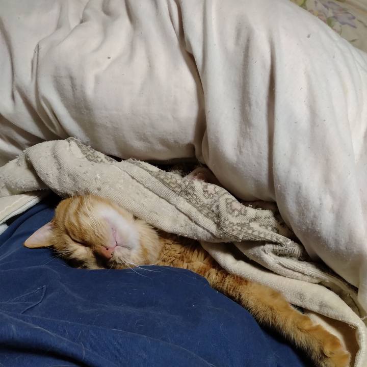 0ef06eb6 5765 41dc 8093 852fdd2ef5c5 1700136907980