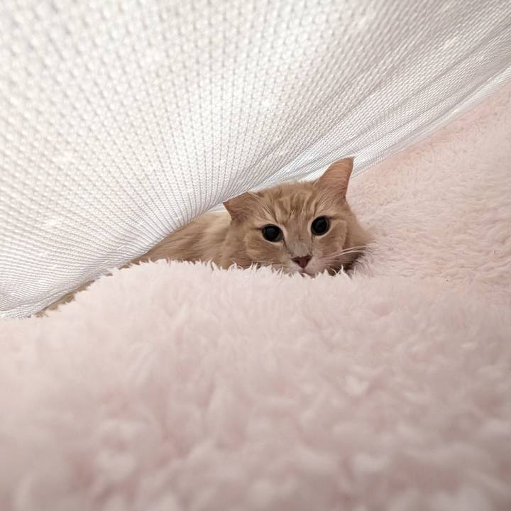 0ef09c1f 0d6d 48ed a062 8f07919ad143 1728528844024