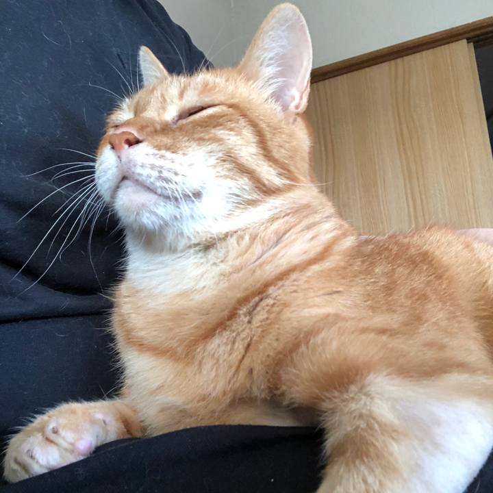 0ef0f771 b21e 4cf4 adb6 563609d9c41c 1694899979641