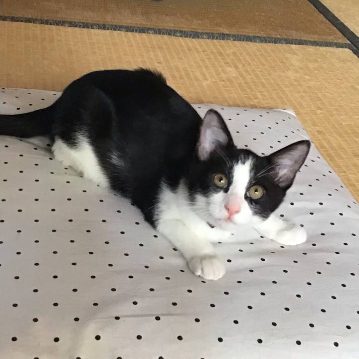 0ef15023 61d9 48ab a095 cad78e9af478 1627872909254