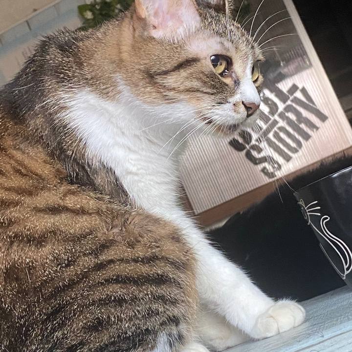 0ef166d8 693e 48a0 a936 5f44ee34cd29 1598057384944