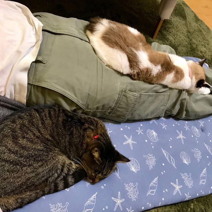 0ef17afc 9cf1 459f 9bb2 05adfea78a30 1542201100318