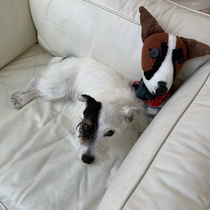 0ef17bc2 7c9e 4b6d af0a 08e838ba4260 1753145566069