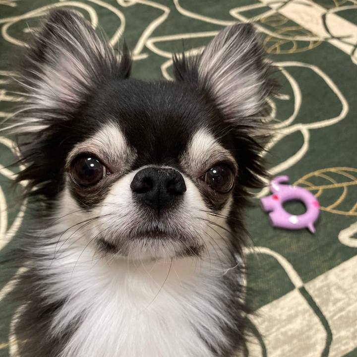 0ef186fb 45bf 47c7 87e3 11c1bce3671e 1645365725862