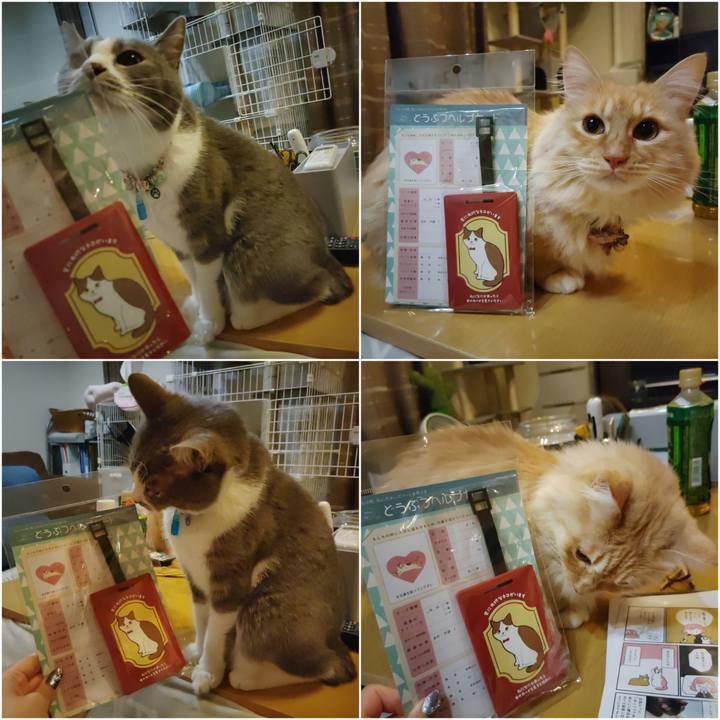 0ef18a85 2255 47d0 991f 2e8833272921 1670852131517