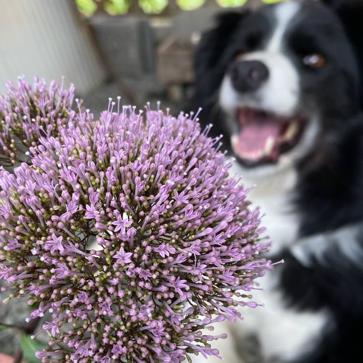 0ef1a619 144c 43c7 9857 6f0278a49562 1619744265147