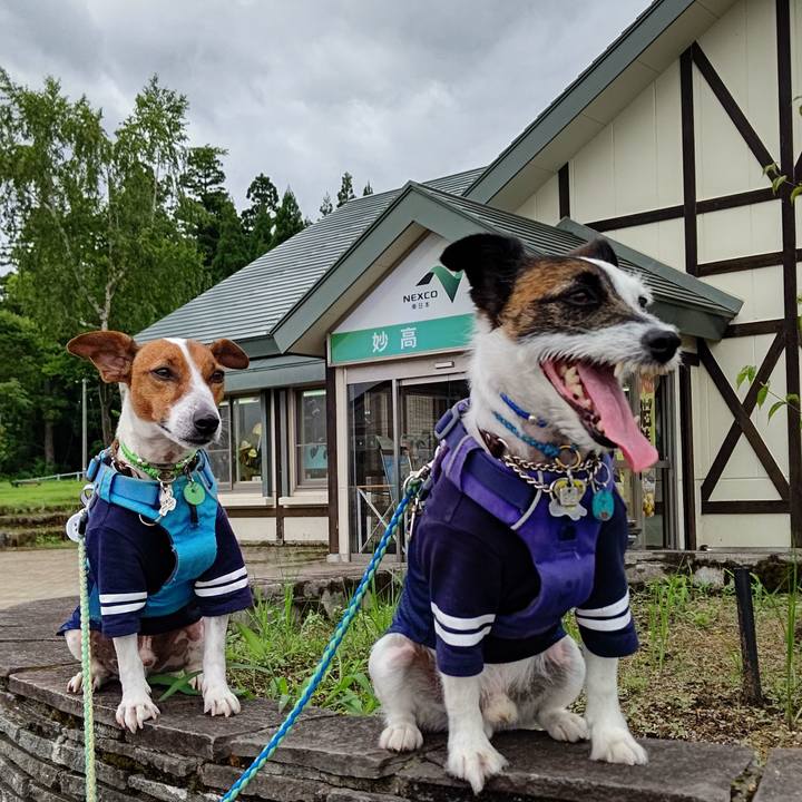 0ef264b4 abc6 47e0 b3ed 8f233b631b8b 1657856216105