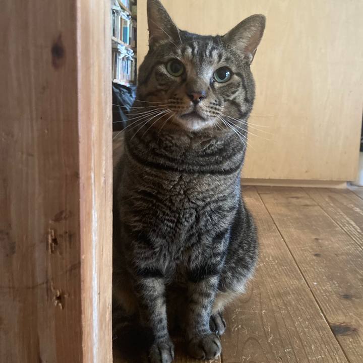 0ef27f01 e313 4ac8 8f45 d96ce095229f 1727052702794