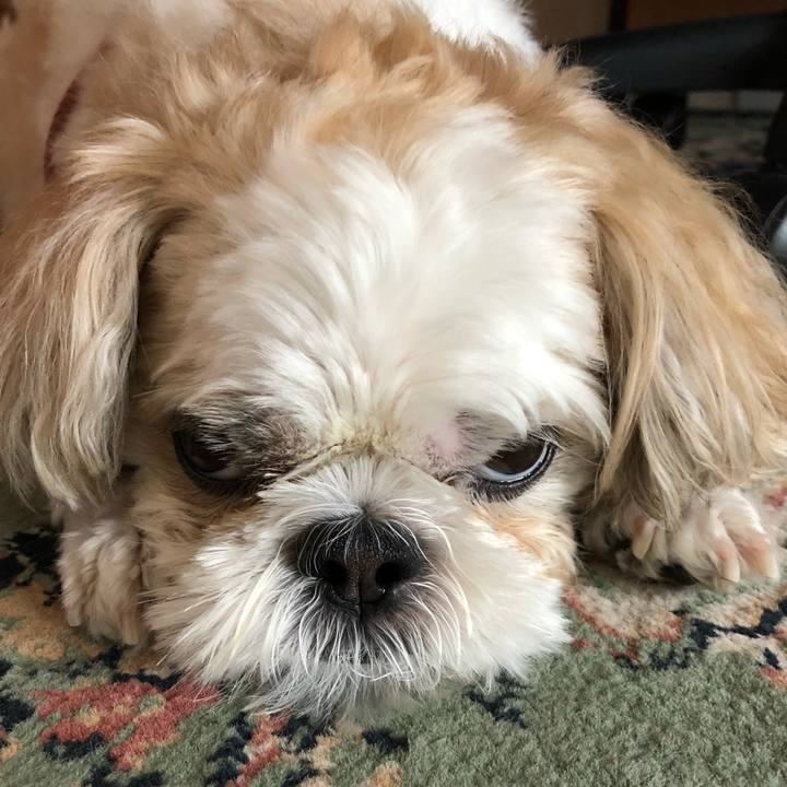 0ef2abd0 e722 4d5f 8f6f ba808e876e1b 1536356544226