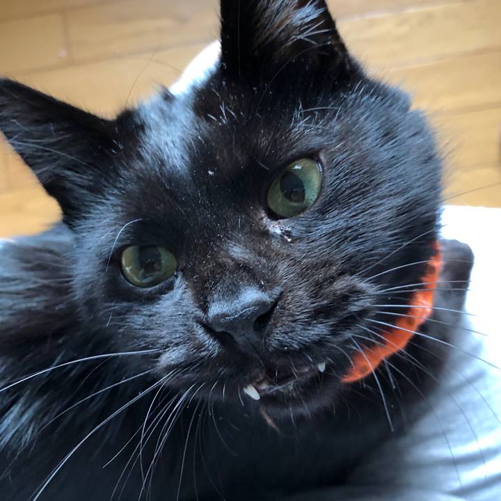 0ef2b525 c7cb 40e7 8da3 212083cc8ae9 1571008724257