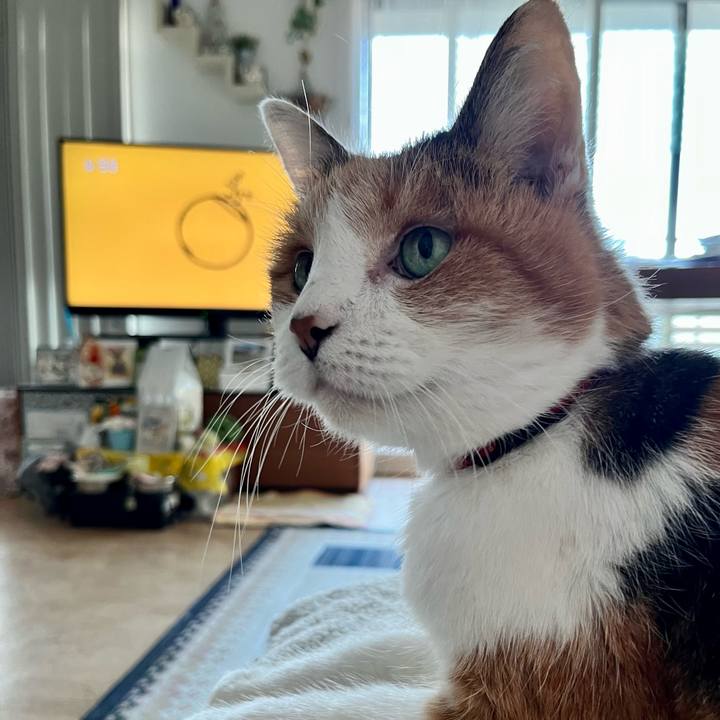 0ef2bb54 a0a6 4579 a834 e4ba4b4bef3c 1697579986637